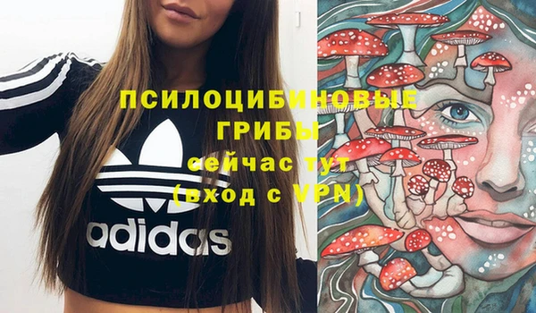 амфетамин Каменка