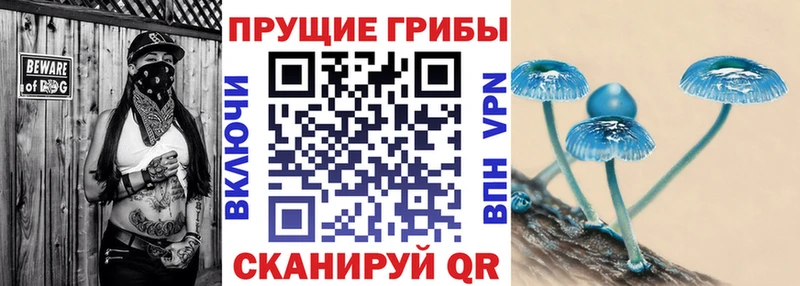 Псилоцибиновые грибы MAGIC MUSHROOMS Солнечногорск