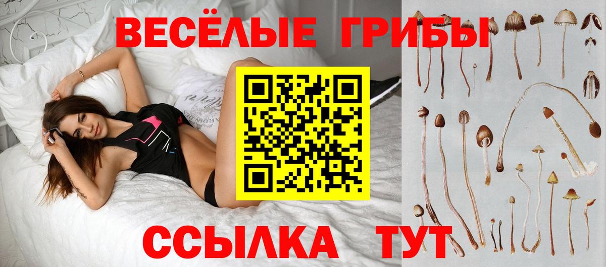 Солнечногорск  Галлюциногенные грибы MAGIC MUSHROOMS  Вход с VPN  Галлюциногенные грибы Cubensis 