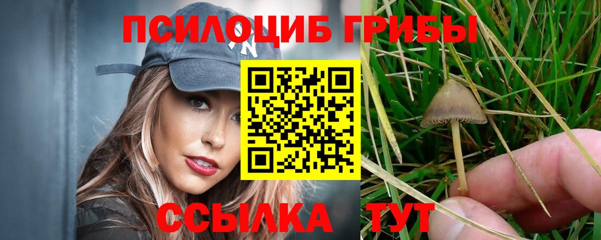 Псилоцибиновые грибы MAGIC MUSHROOMS Солнечногорск